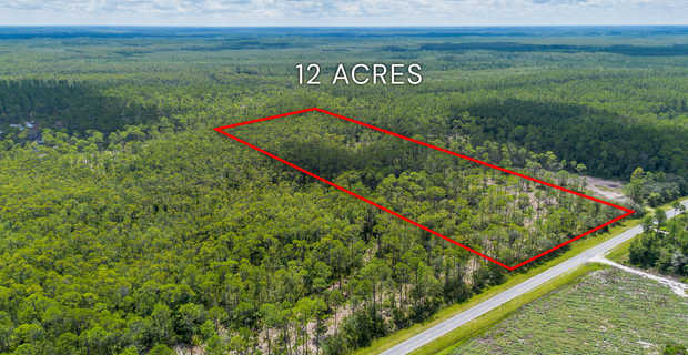 12 Acres with Homesite Potential & Forested Privacy thumbnail image