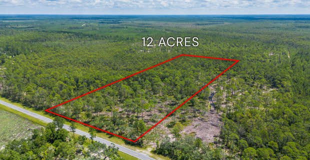 12 Acres with Homesite Potential & Forested Privacy thumbnail image