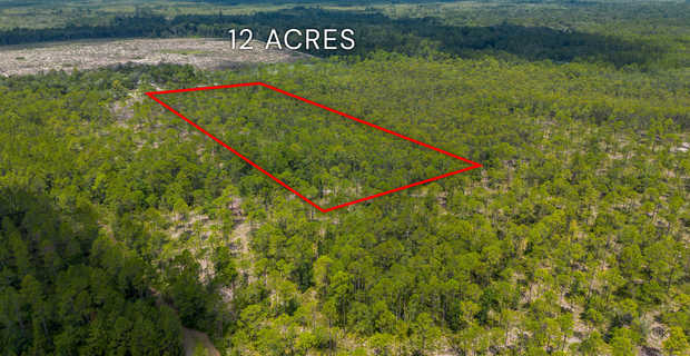 12 Acres with Homesite Potential & Forested Privacy thumbnail image
