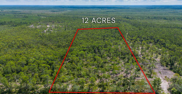 12 Acres with Homesite Potential & Forested Privacy thumbnail image