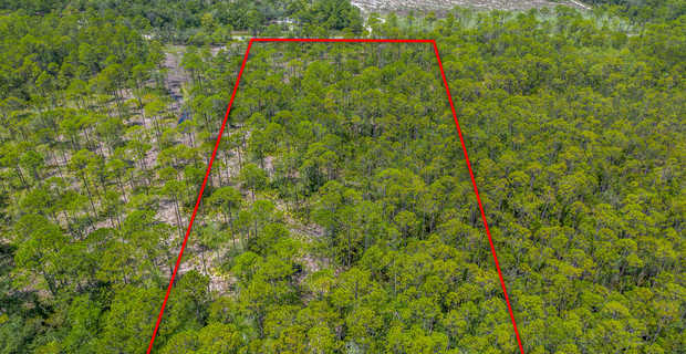 12 Acres with Homesite Potential & Forested Privacy thumbnail image