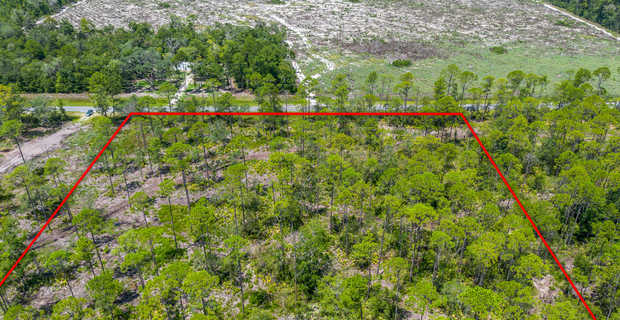 12 Acres with Homesite Potential & Forested Privacy thumbnail image