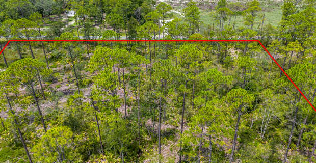 12 Acres with Homesite Potential & Forested Privacy thumbnail image