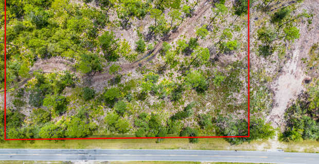 12 Acres with Homesite Potential & Forested Privacy thumbnail image