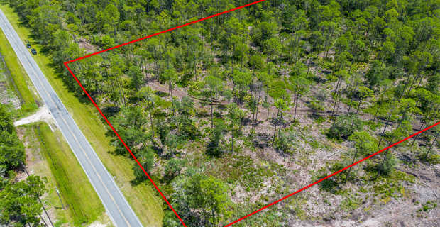 12 Acres with Homesite Potential & Forested Privacy thumbnail image