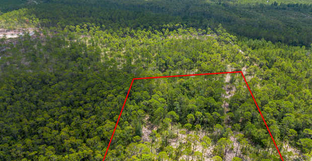 12 Acres with Homesite Potential & Forested Privacy thumbnail image