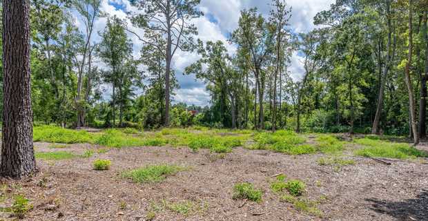 1± Acre Lot in Blackshear, GA thumbnail image