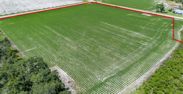 48+/- Acres - Golden Isles Highway & Hesters Road thumbnail image