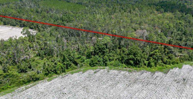 48+/- Acres - Golden Isles Highway & Hesters Road thumbnail image