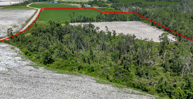 48+/- Acres - Golden Isles Highway & Hesters Road thumbnail image