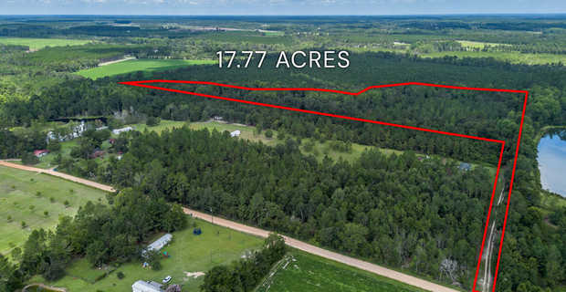 17.77 Acres - Mallard Road, Odum thumbnail image