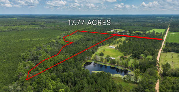 17.77 Acres - Mallard Road, Odum thumbnail image