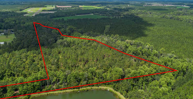 17.77 Acres - Mallard Road, Odum thumbnail image