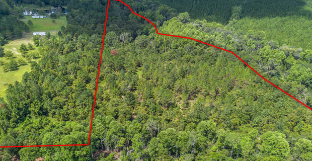 17.77 Acres - Mallard Road, Odum thumbnail image