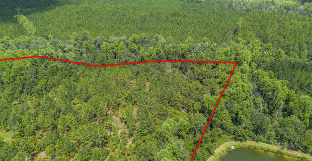 17.77 Acres - Mallard Road, Odum thumbnail image