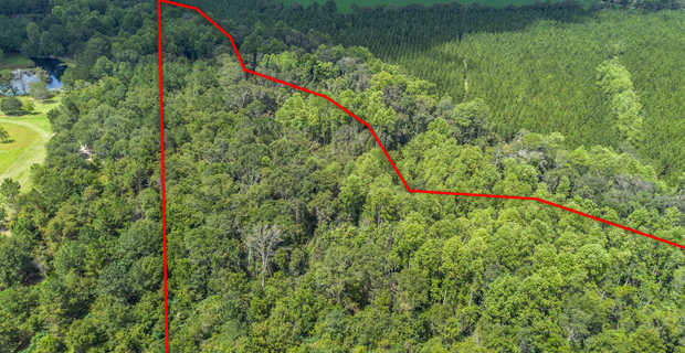 17.77 Acres - Mallard Road, Odum thumbnail image