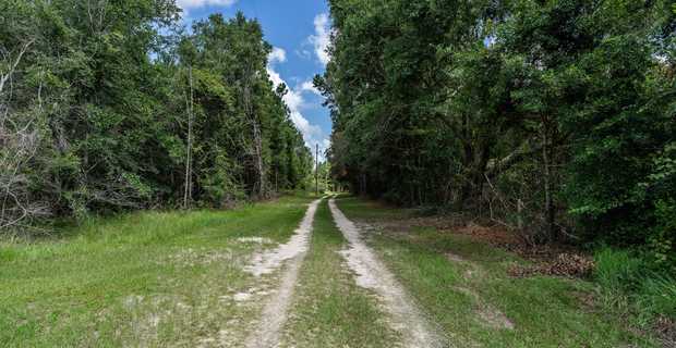 17.77 Acres - Mallard Road, Odum thumbnail image