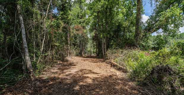 17.77 Acres - Mallard Road, Odum thumbnail image