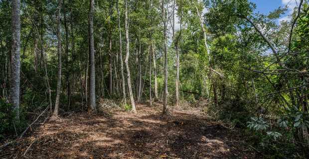 17.77 Acres - Mallard Road, Odum thumbnail image