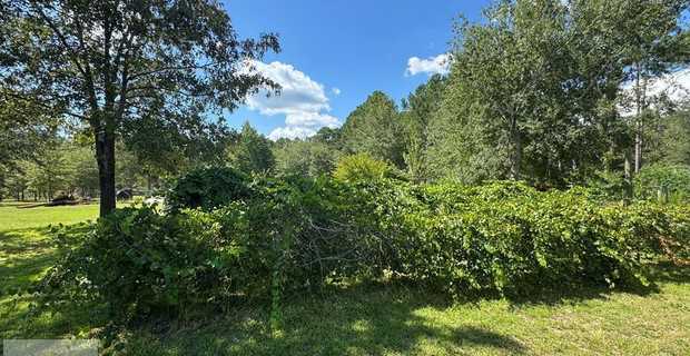 6.27 Acres - 195 Mollie Bowen Lane, GA thumbnail image