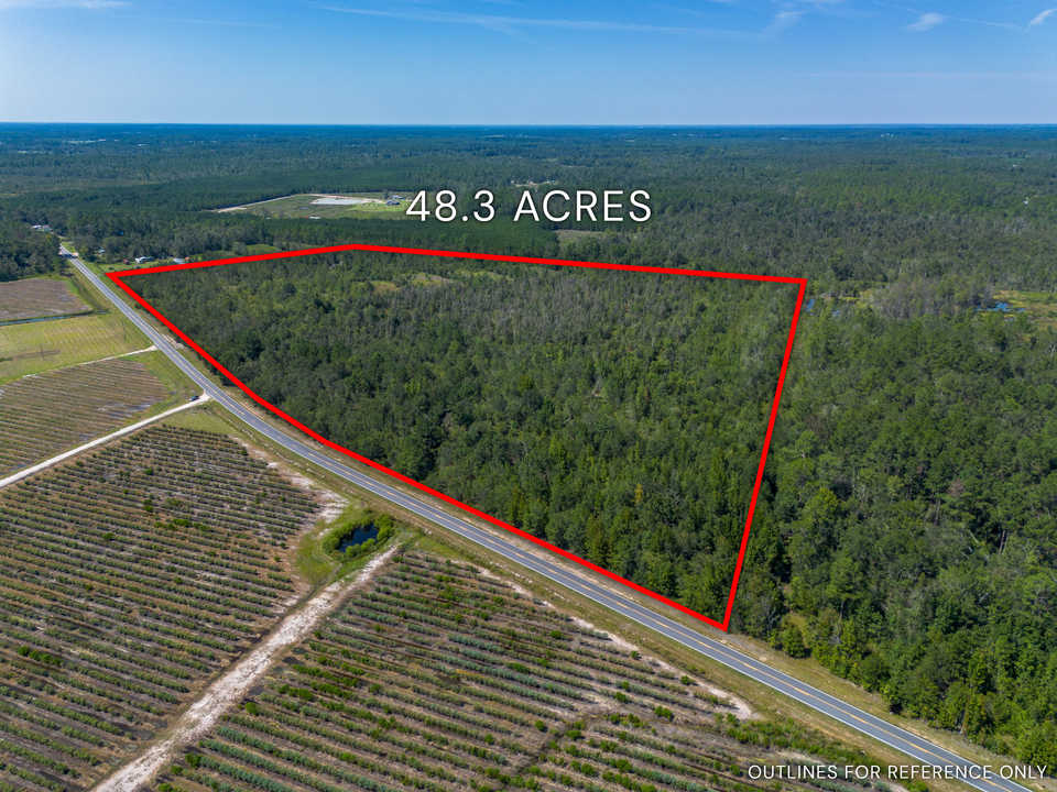 48.3 Acres on Old Surrency Road, Baxley, GA main image
