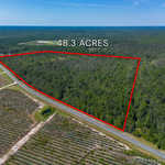 48.3 Acres on Old Surrency Road, Baxley, GA image