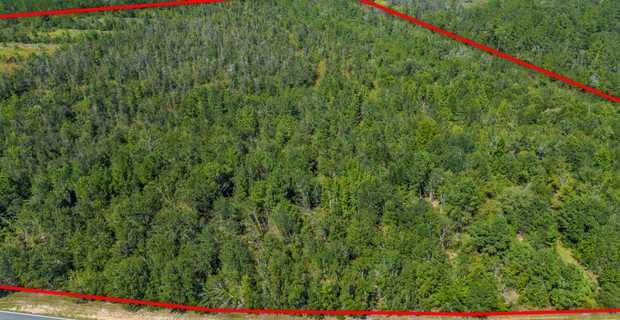 48.3 Acres on Old Surrency Road, Baxley, GA thumbnail image