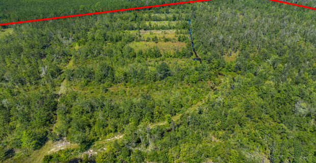 48.3 Acres on Old Surrency Road, Baxley, GA thumbnail image