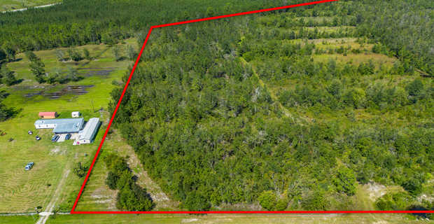 48.3 Acres on Old Surrency Road, Baxley, GA thumbnail image