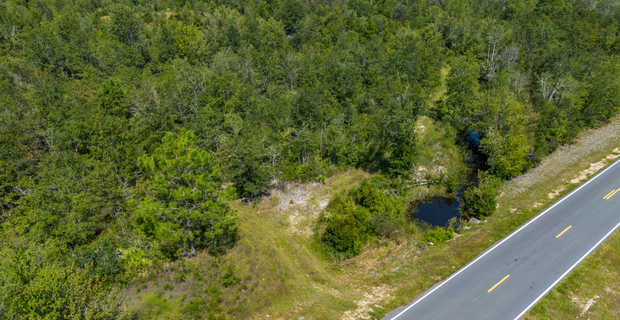 48.3 Acres on Old Surrency Road, Baxley, GA thumbnail image