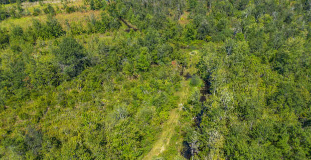48.3 Acres on Old Surrency Road, Baxley, GA thumbnail image