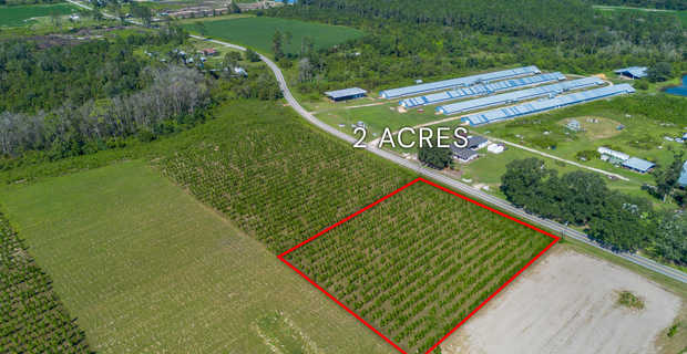 Tract 14 - Midway Church Road in Appling, GA thumbnail image
