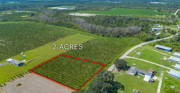 Tract 14 - Midway Church Road in Appling, GA thumbnail image