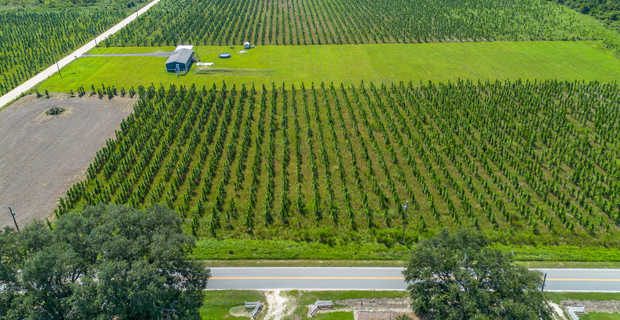 Tract 14 - Midway Church Road in Appling, GA thumbnail image