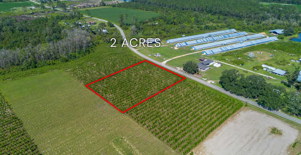 Tract 15 - Midway Church Road in Appling, GA thumbnail image