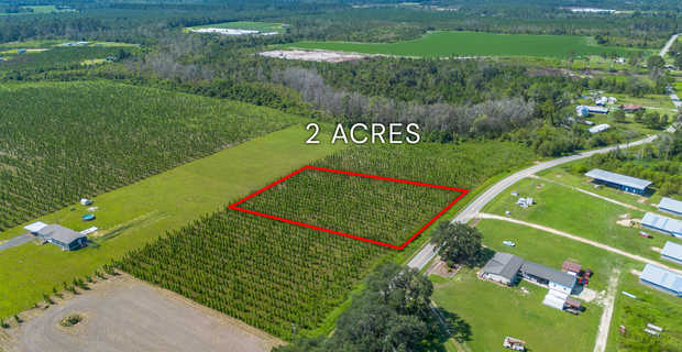 Tract 15 - Midway Church Road in Appling, GA thumbnail image