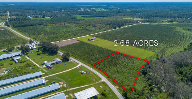 Tract 16 - Midway Church Road in Appling, GA thumbnail image