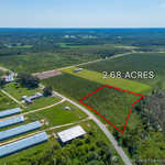 Tract 16 - Midway Church Road in Appling, GA image