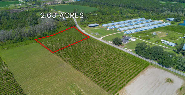Tract 16 - Midway Church Road in Appling, GA thumbnail image