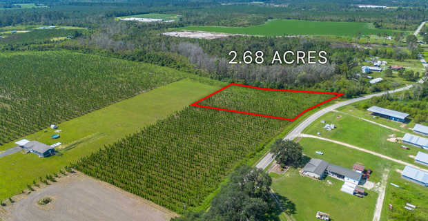 Tract 16 - Midway Church Road in Appling, GA thumbnail image