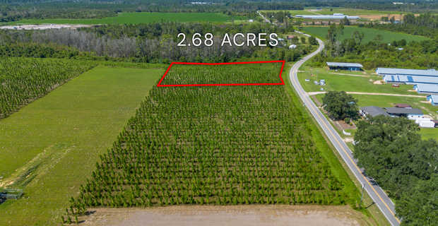 Tract 16 - Midway Church Road in Appling, GA thumbnail image