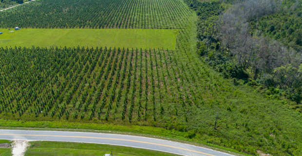 Tract 16 - Midway Church Road in Appling, GA thumbnail image