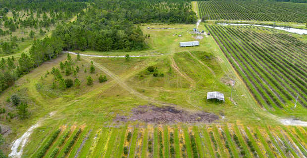Thriving 77-Acre Blueberry Farm in Alma, GA thumbnail image
